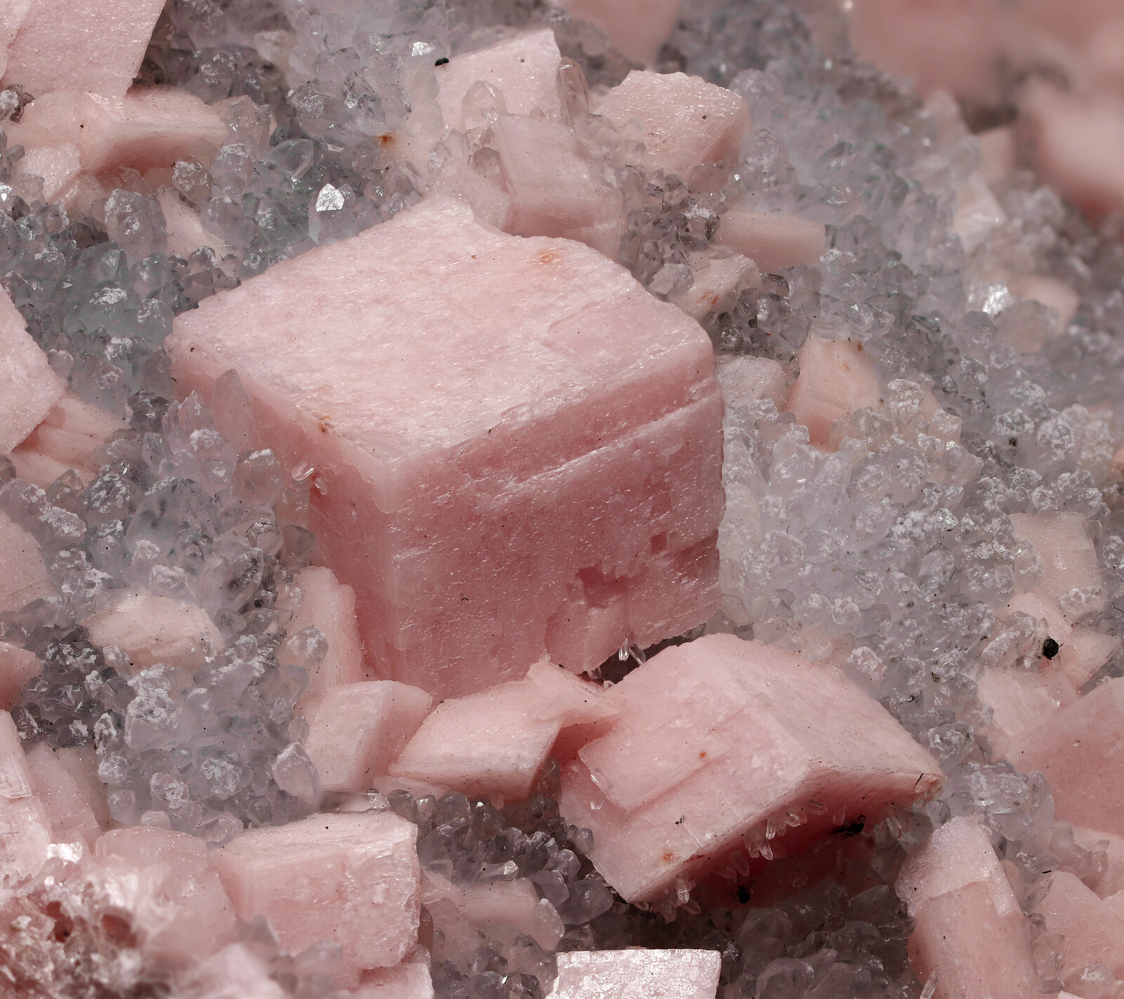 specimens/s_imagesAP4/Rhodochrosite-MRX89AP4_9277_d.jpg