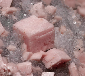 Rhodochrosite with Quartz. Detail / Photo: Joaquim Calln