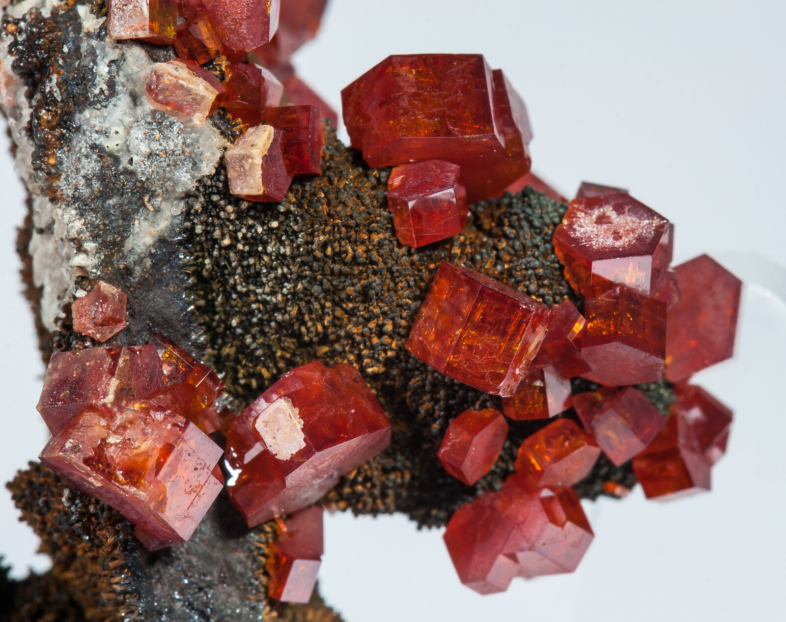 specimens/s_imagesAP4/Vanadinite-MTT48AP4d1.jpg