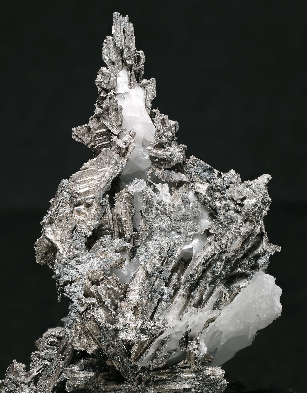 specimens/s_imagesAP5/Allargentum-MHE96AP5_029_d2.jpg