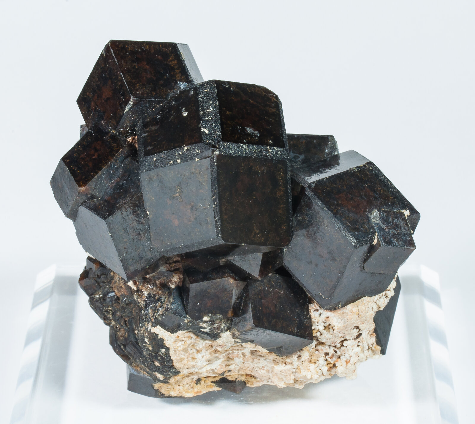 specimens/s_imagesAP5/Andradite-TFB47AP5f.jpg