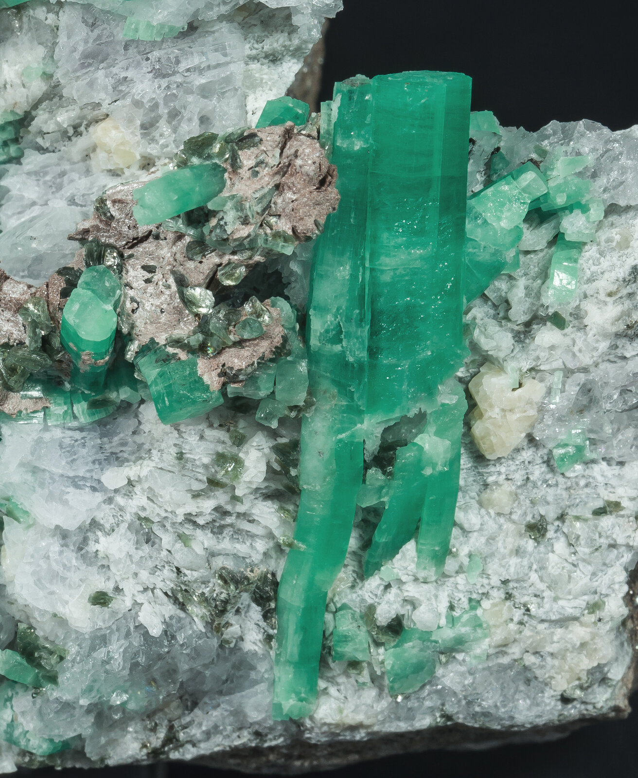 specimens/s_imagesAP5/Beryl_emerald-MJK53AP5d1.jpg