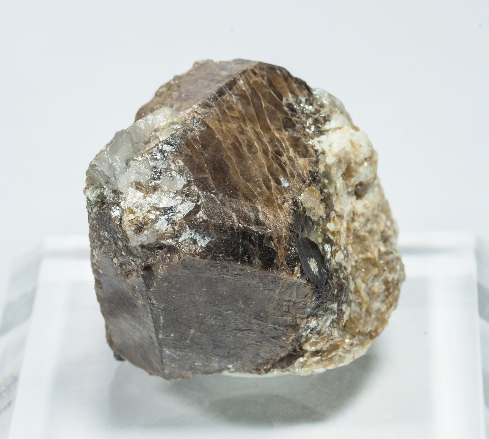 specimens/s_imagesAP5/Cassiterite-TTE46AP5f.jpg