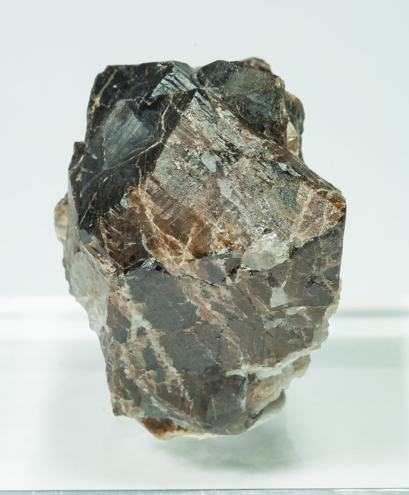 specimens/s_imagesAP5/Cassiterite-TXH46AP5f.jpg