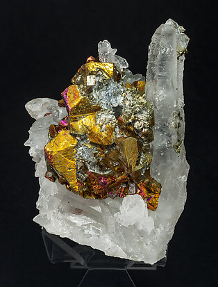 Chalcopyrite on Quartz with Arsenopyrite and Calcite.