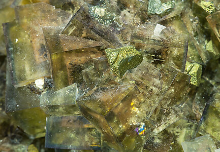 Fluorite with Baryte and Chalcopyrite. 