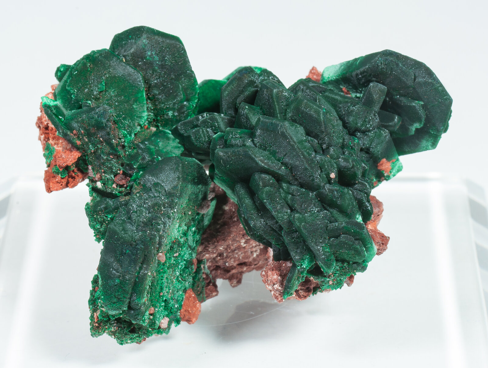 specimens/s_imagesAP5/Malachite-MLX47AP5s.jpg