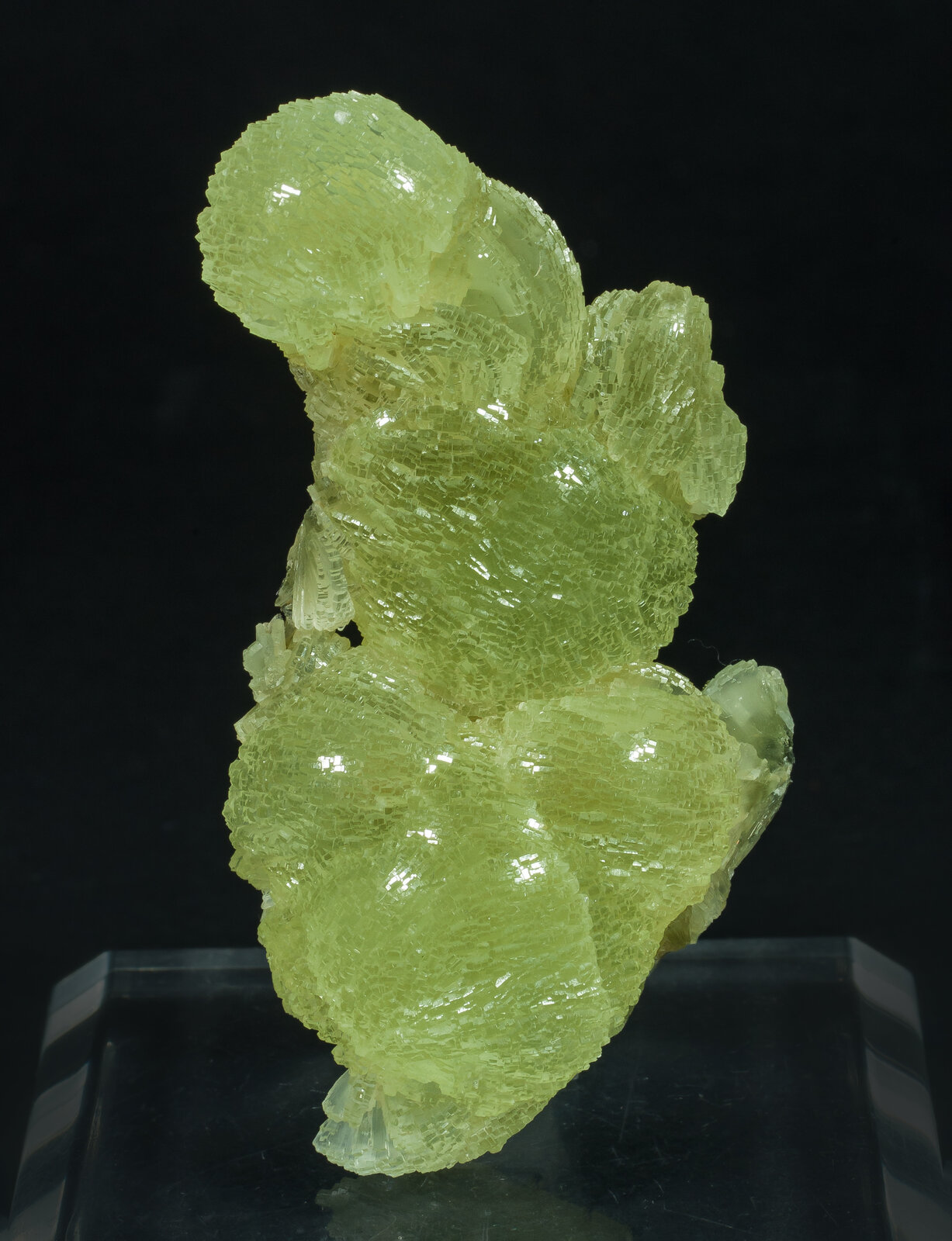 specimens/s_imagesAP5/Prehnite-JFD202AP5f.jpg