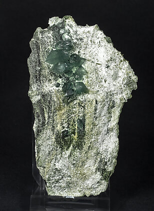 Prehnite with Epidote and Actinolite (variety byssolite).