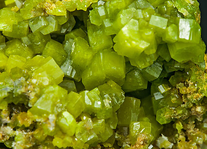 Pyromorphite. 