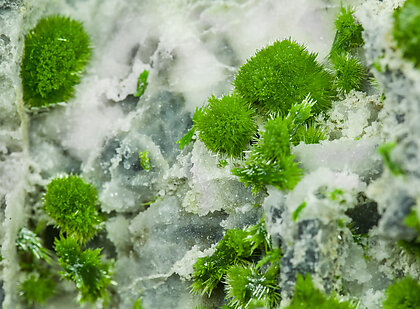 Pyromorphite. 