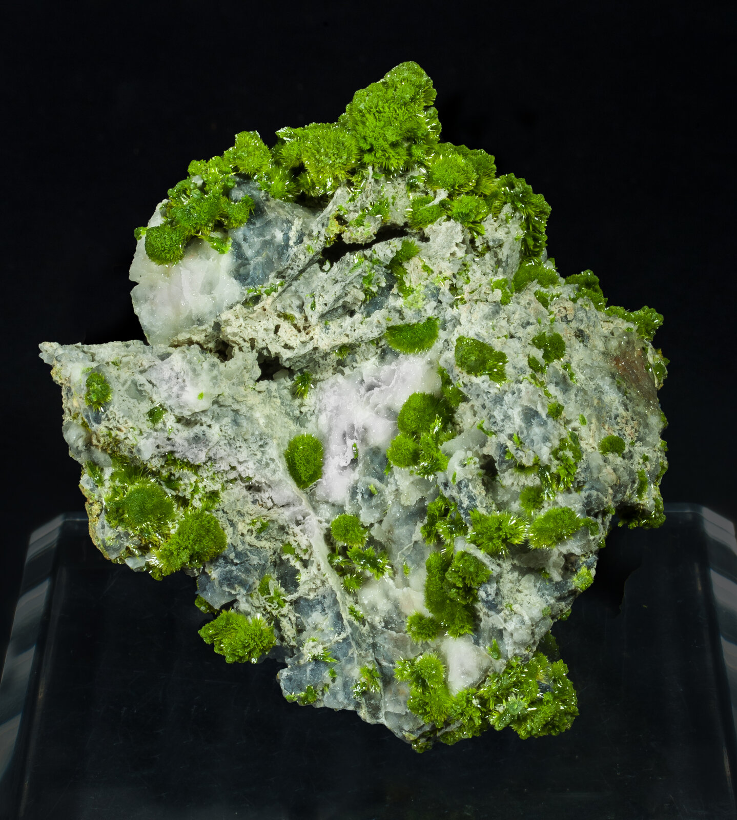 specimens/s_imagesAP5/Pyromorphite-TRR47AP5s.jpg