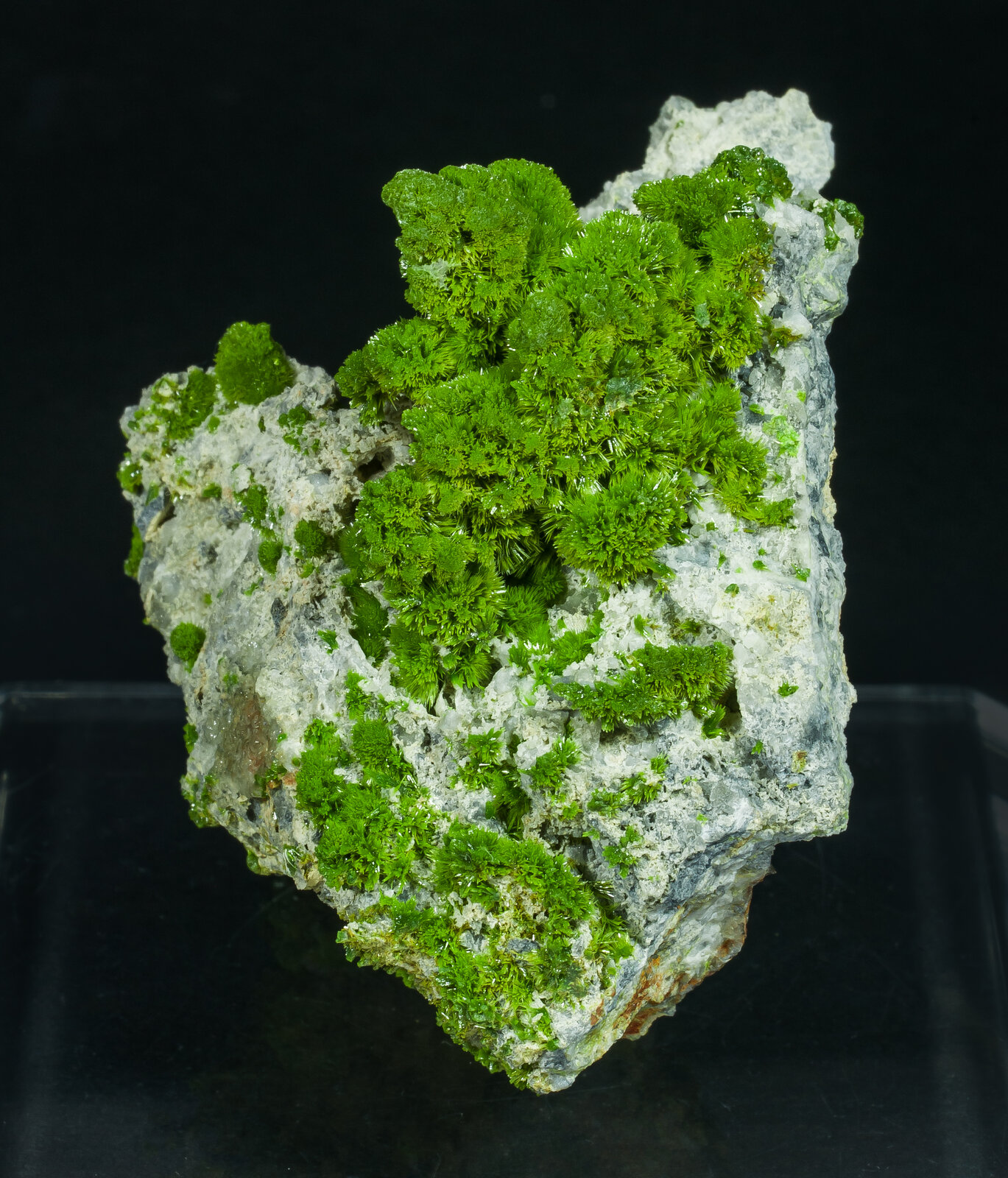 specimens/s_imagesAP5/Pyromorphite-TRR47AP5s2.jpg