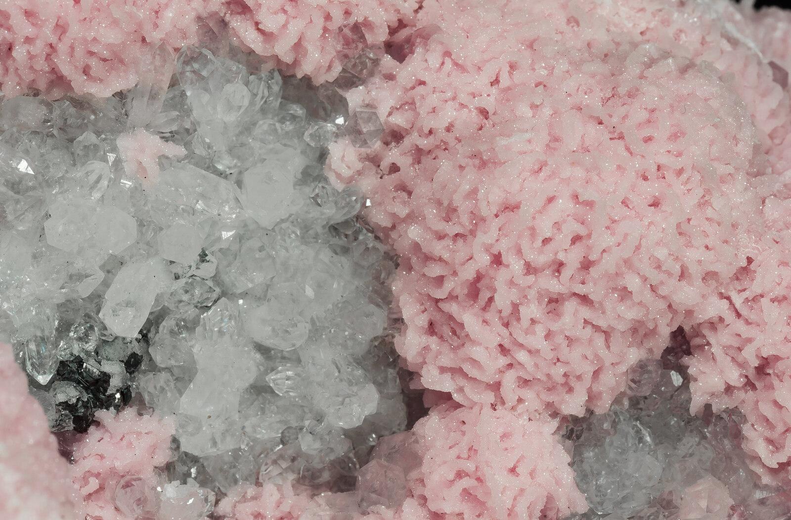 specimens/s_imagesAP5/Rhodochrosite-EEH89AP5d1.jpg