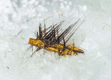 Rutile with Dissakisite-(Ce)/Allanite-(Ce) and on Dolomite. 