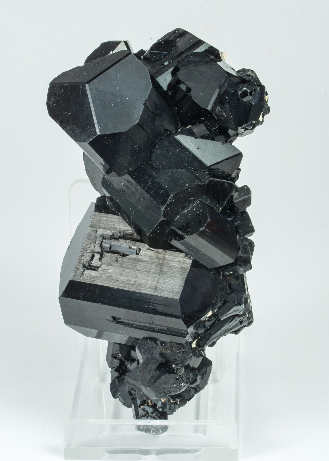 specimens/s_imagesAP5/Schorl-TXE27AP5s.jpg