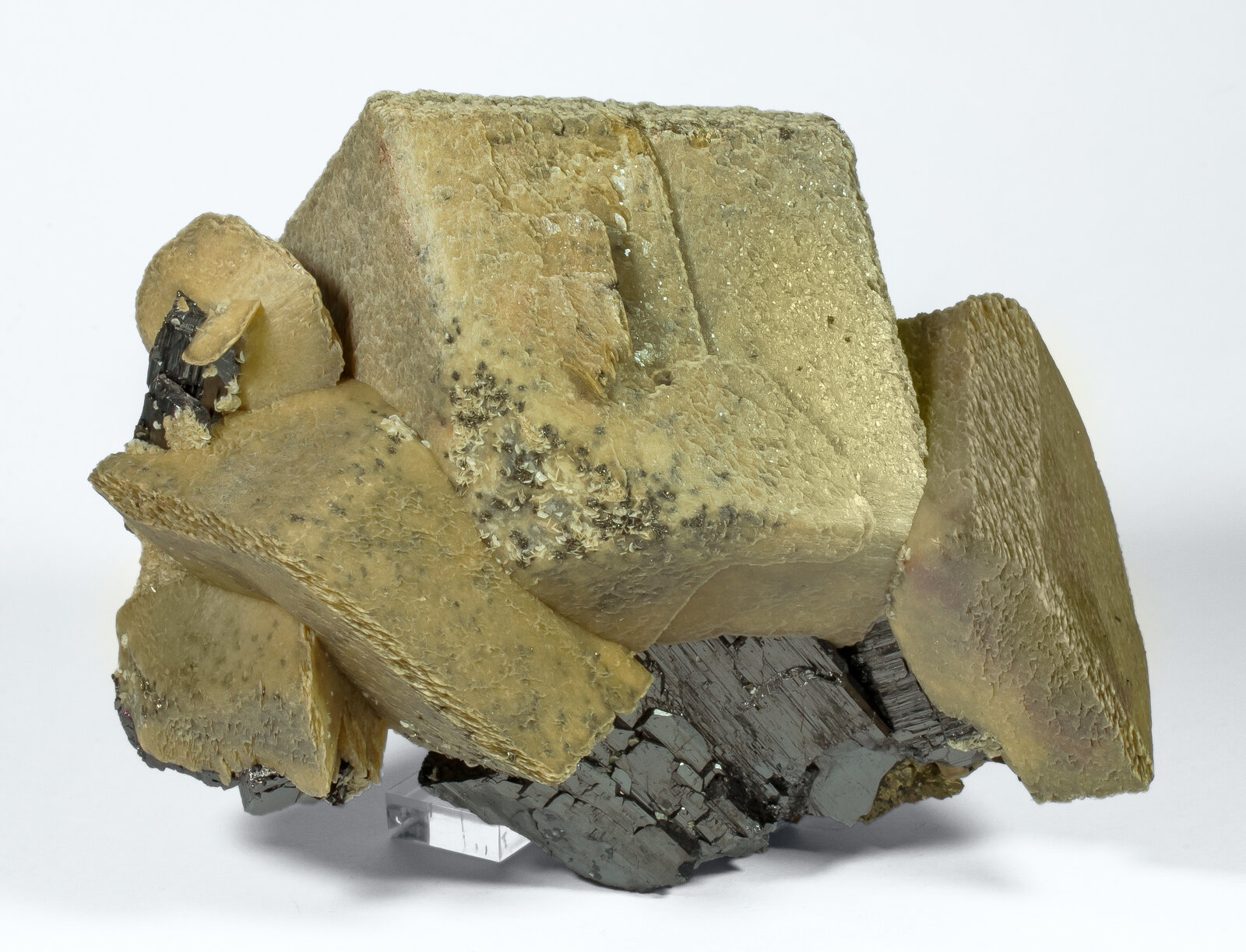 specimens/s_imagesAP5/Siderite-JFD207AP5f.jpg