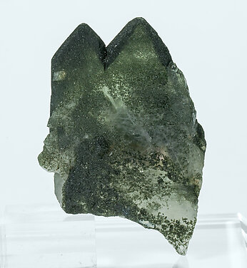 Albite with Chlorite. Front