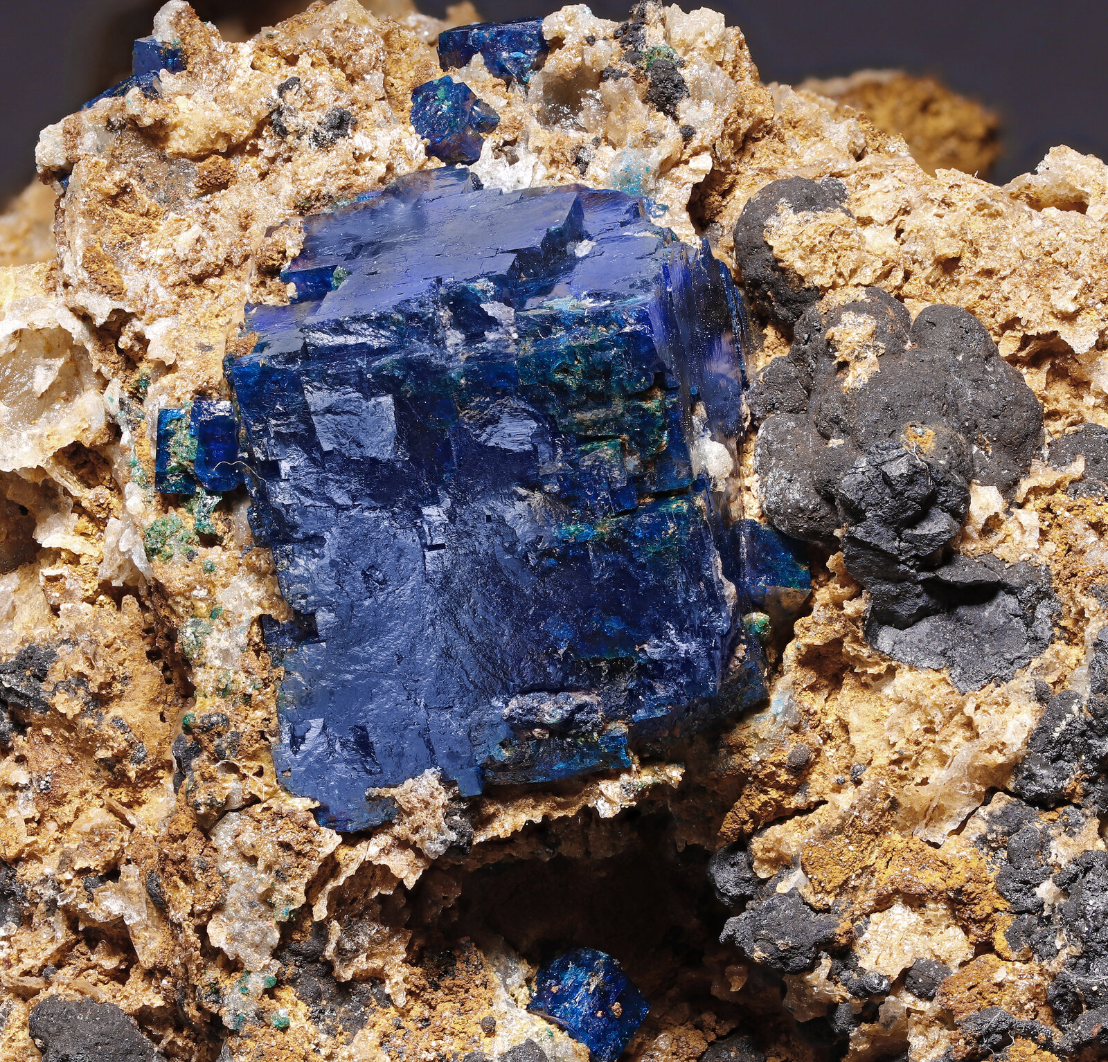 specimens/s_imagesAP6/Boleite-BYM96AP6_009_d2.jpg