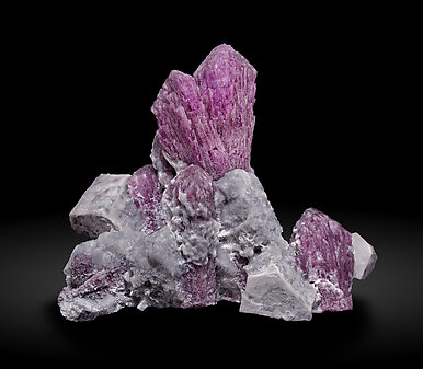 Elbaite-Schorl Series (variety rubellite) with Microcline. Front / Photo: Joaquim Calln