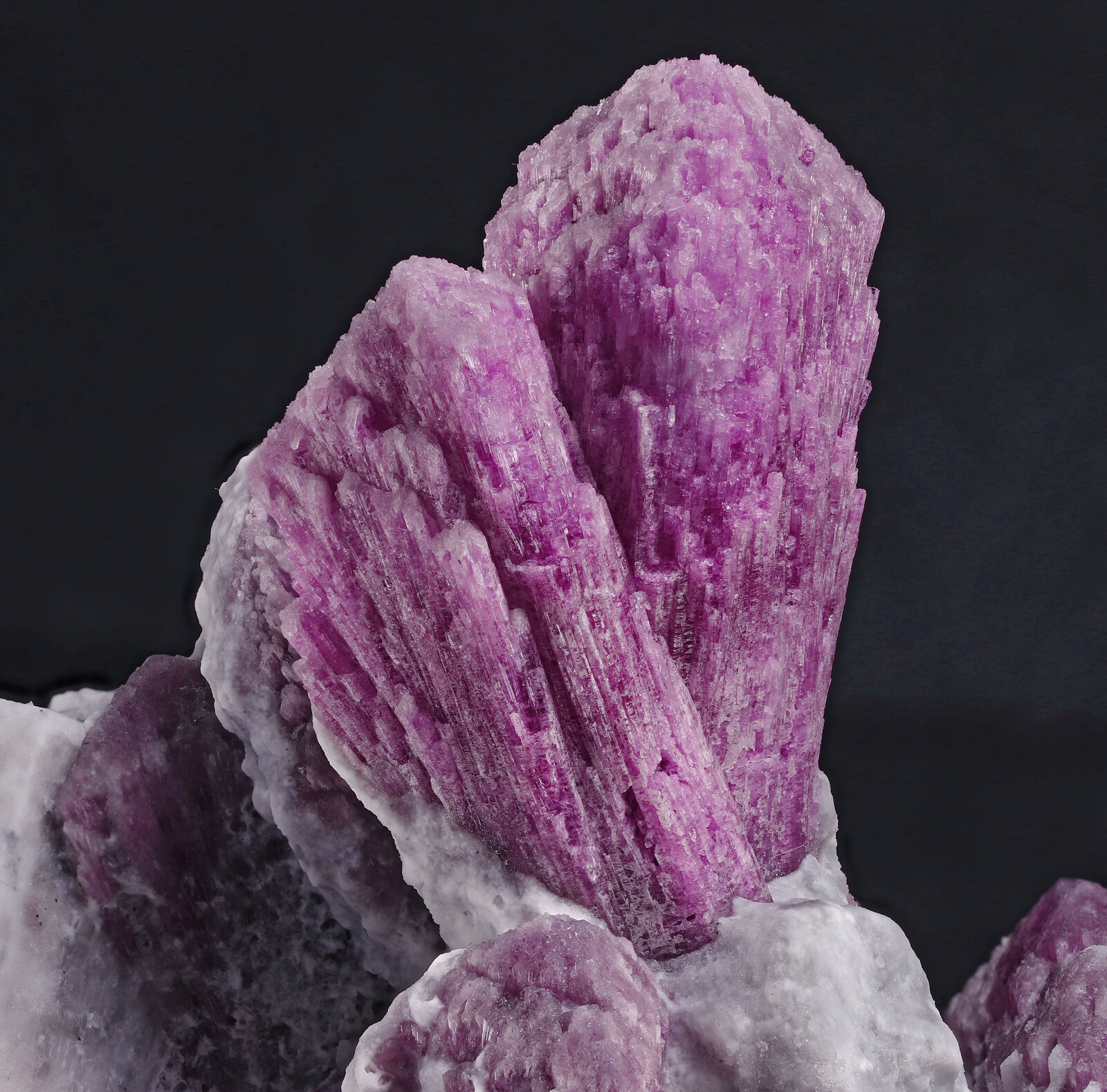 specimens/s_imagesAP6/Elbaite-EFP87AP6_019_d.jpg