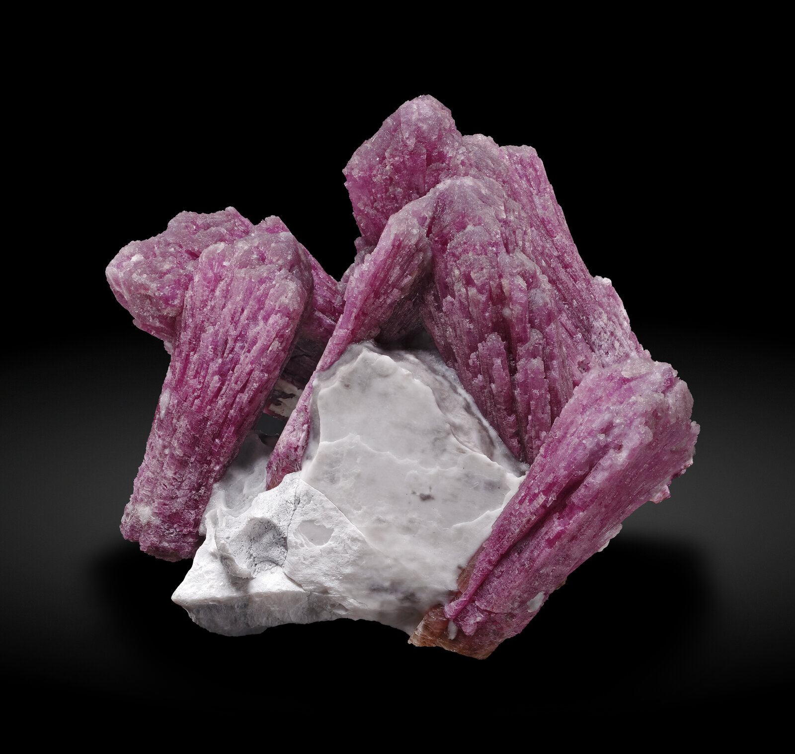 specimens/s_imagesAP6/Elbaite-EGH67AP6_020_f.jpg