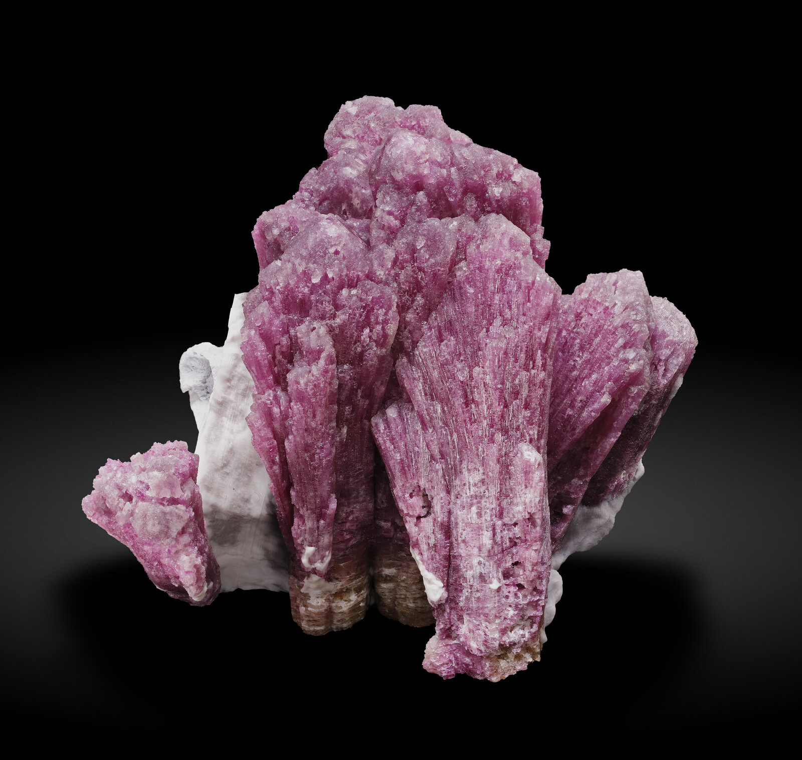 specimens/s_imagesAP6/Elbaite-EGH67AP6_021_s.jpg