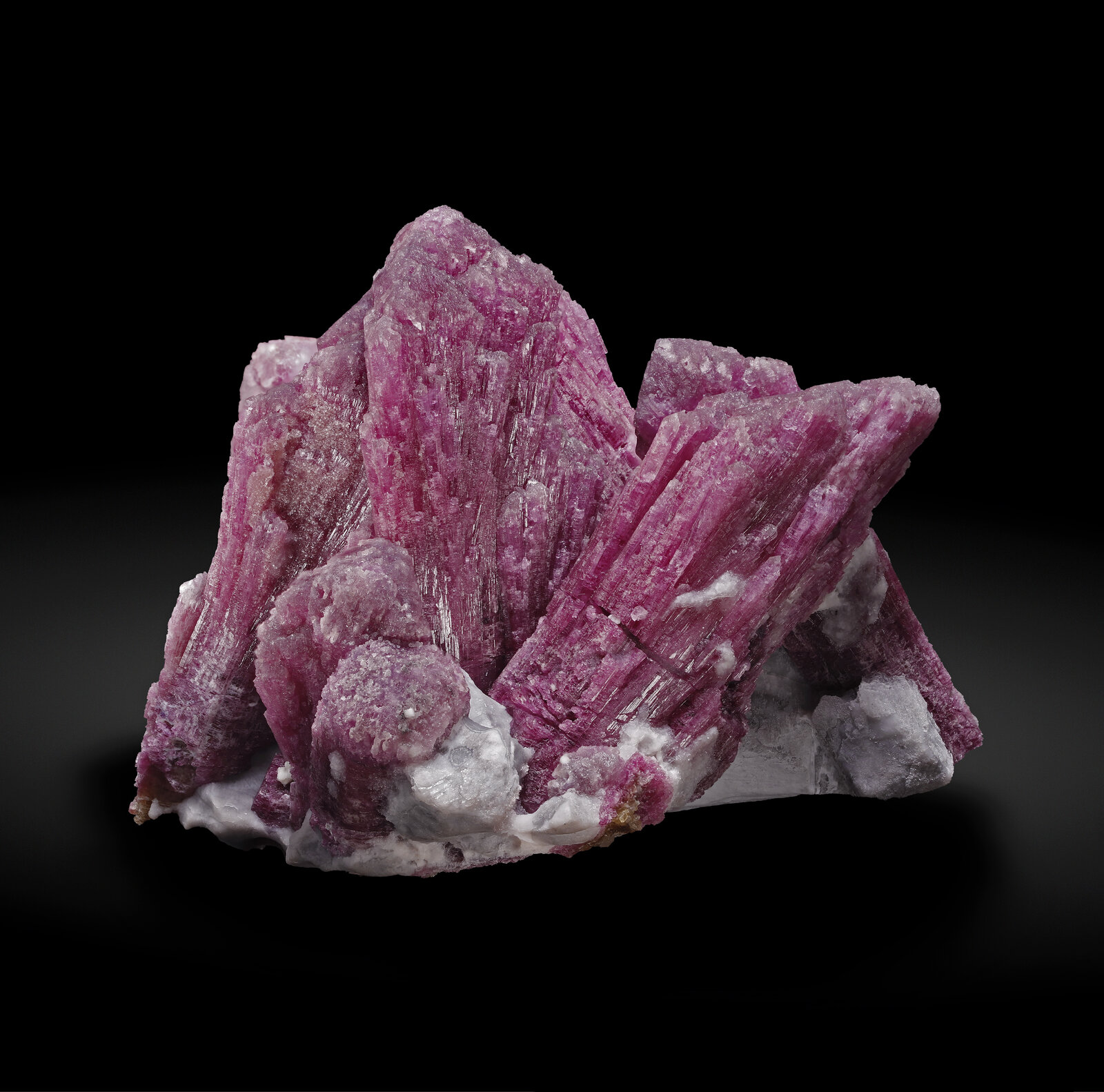 specimens/s_imagesAP6/Elbaite-EGH67AP6_022_r.jpg