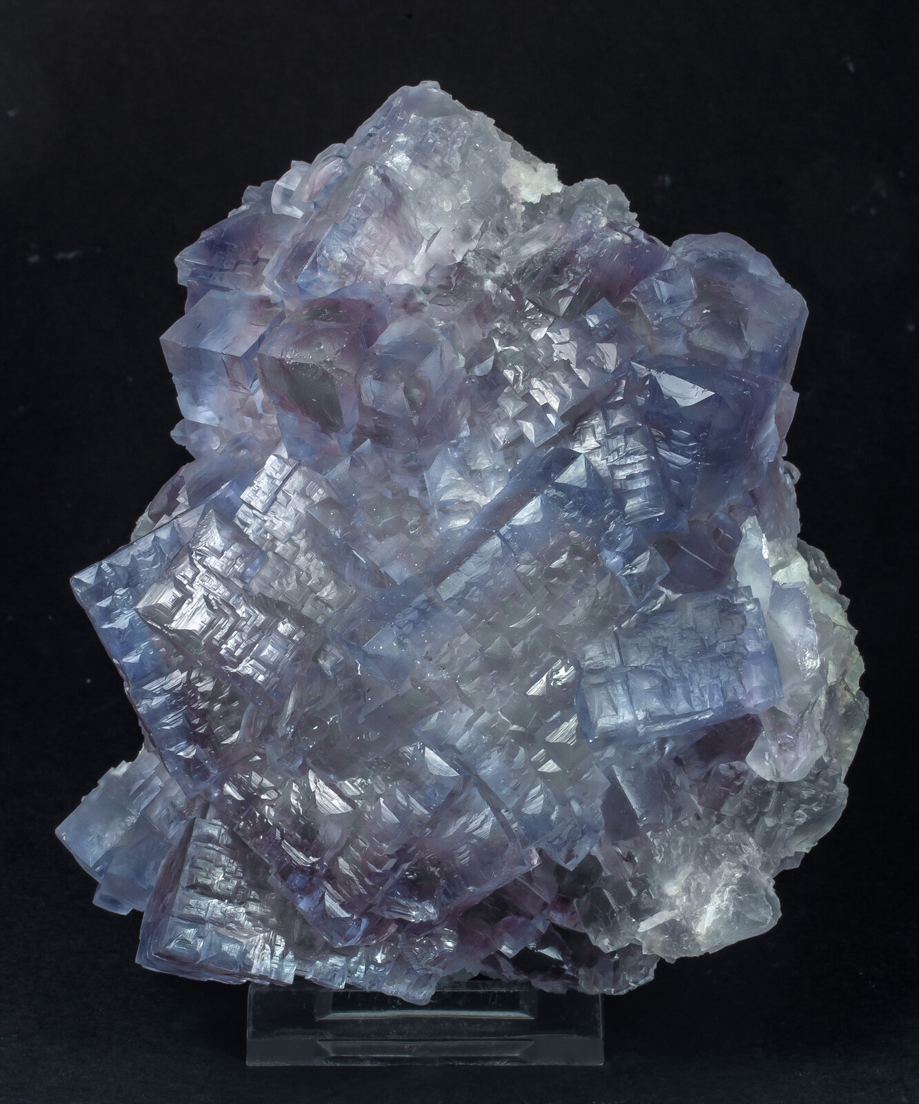 specimens/s_imagesAP6/Fluorite-JFD213AP6f.jpg