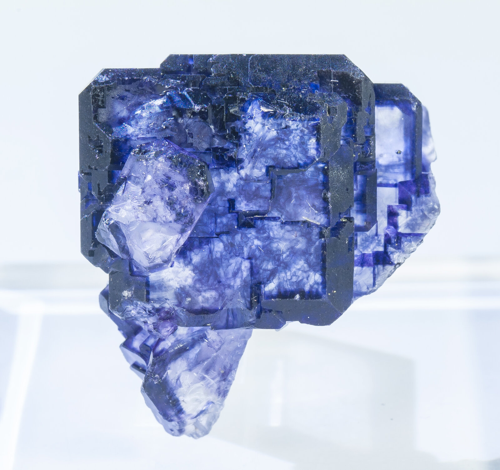 specimens/s_imagesAP6/Fluorite-NBA16AP6f2.jpg