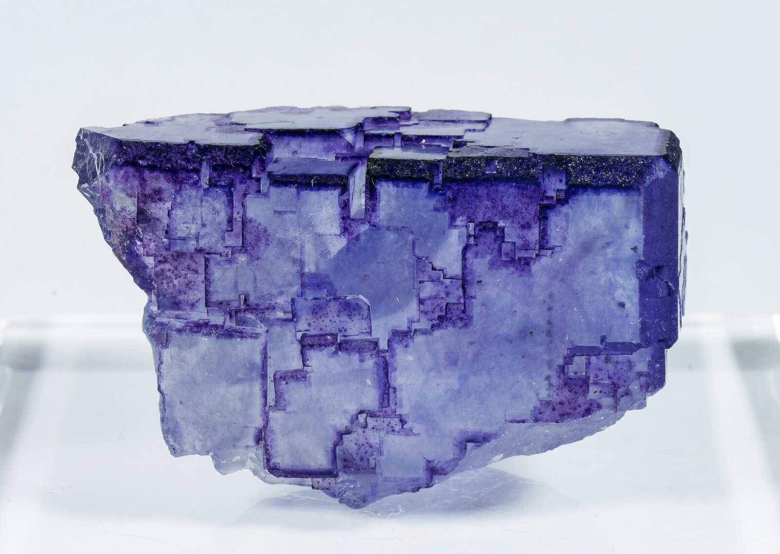 specimens/s_imagesAP6/Fluorite-NFJ27AP6f.jpg