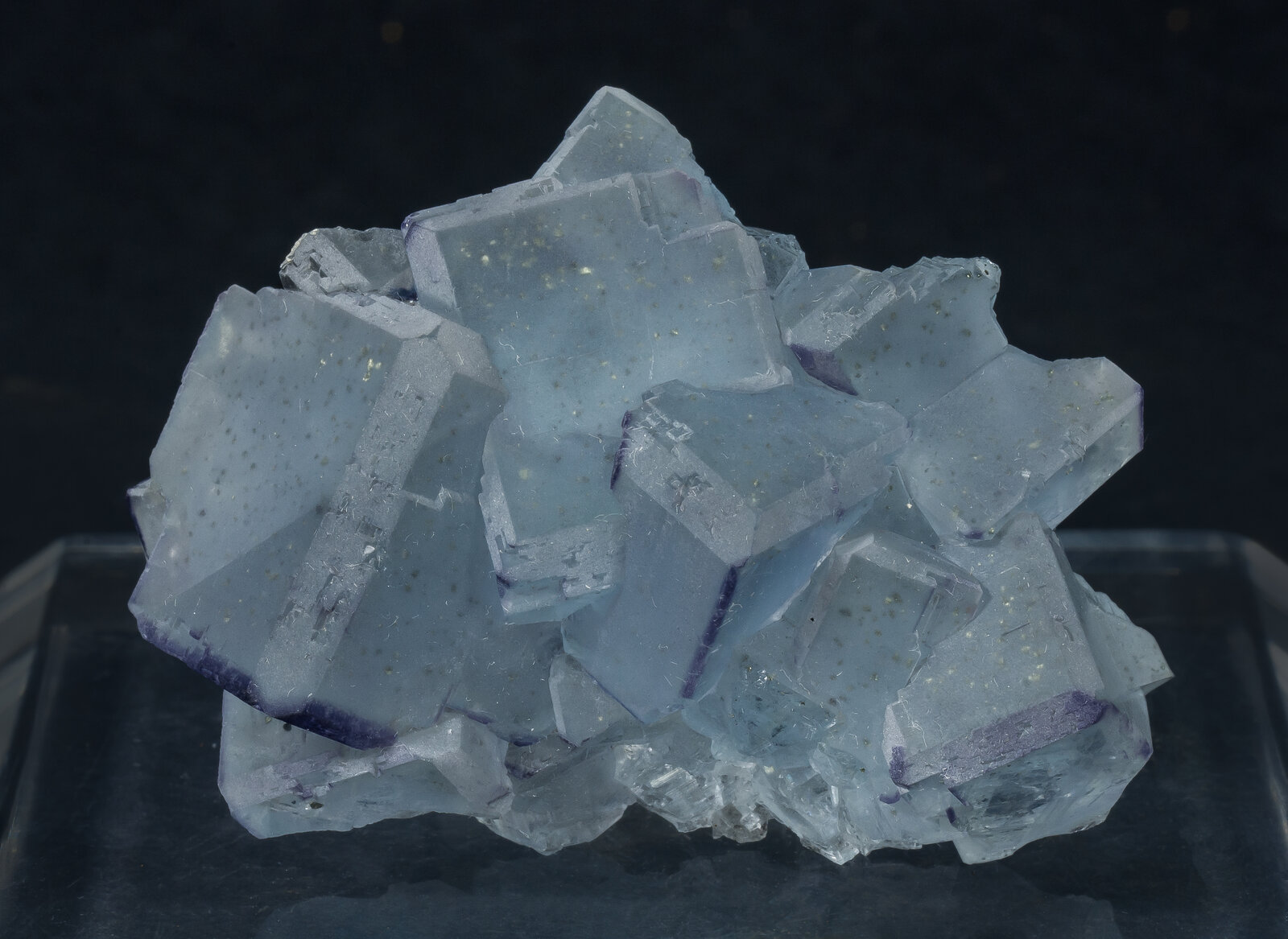 specimens/s_imagesAP6/Fluorite-NPJ66AP6f.jpg