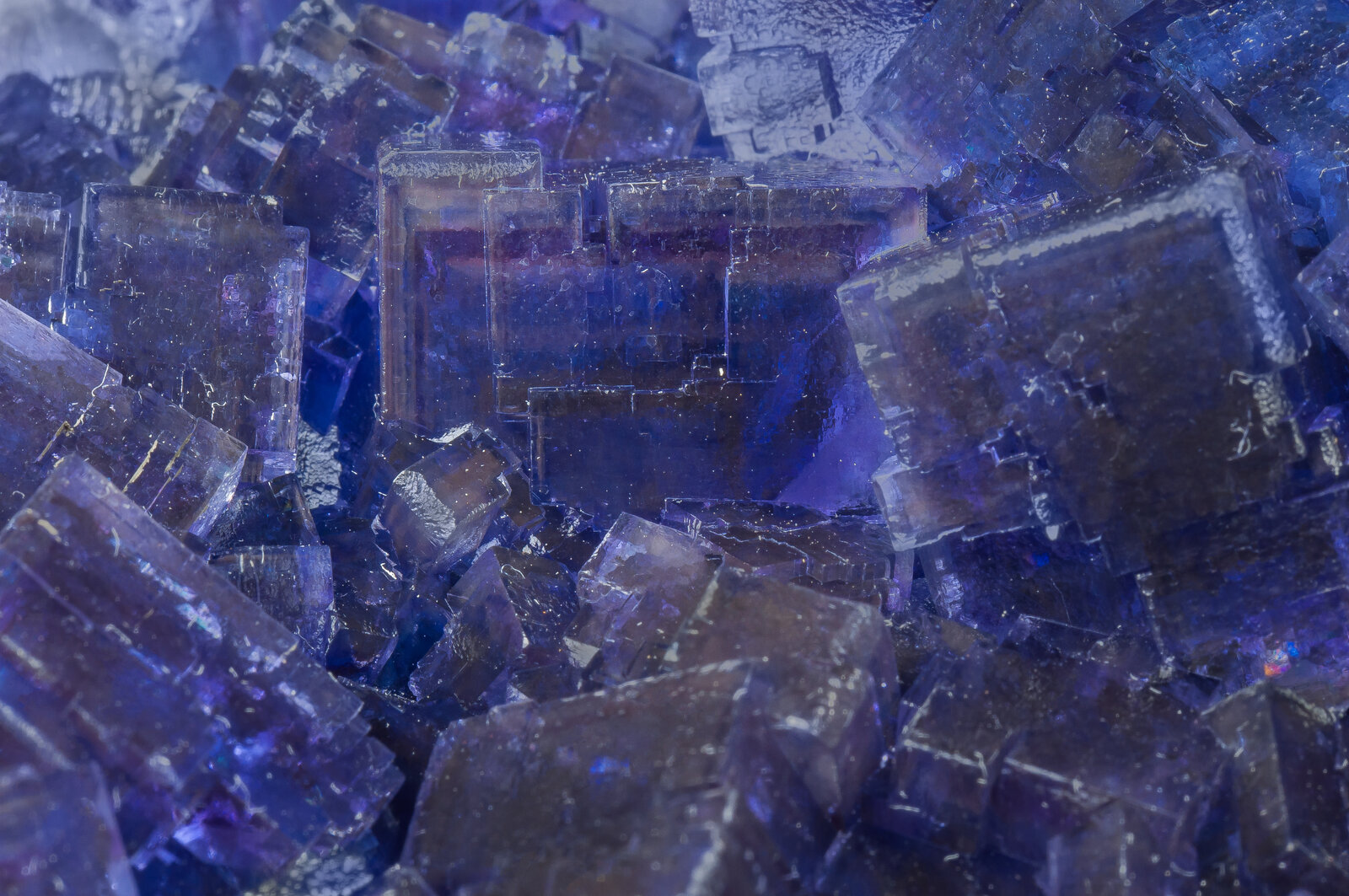 specimens/s_imagesAP6/Fluorite-NRM93AP6d.jpg