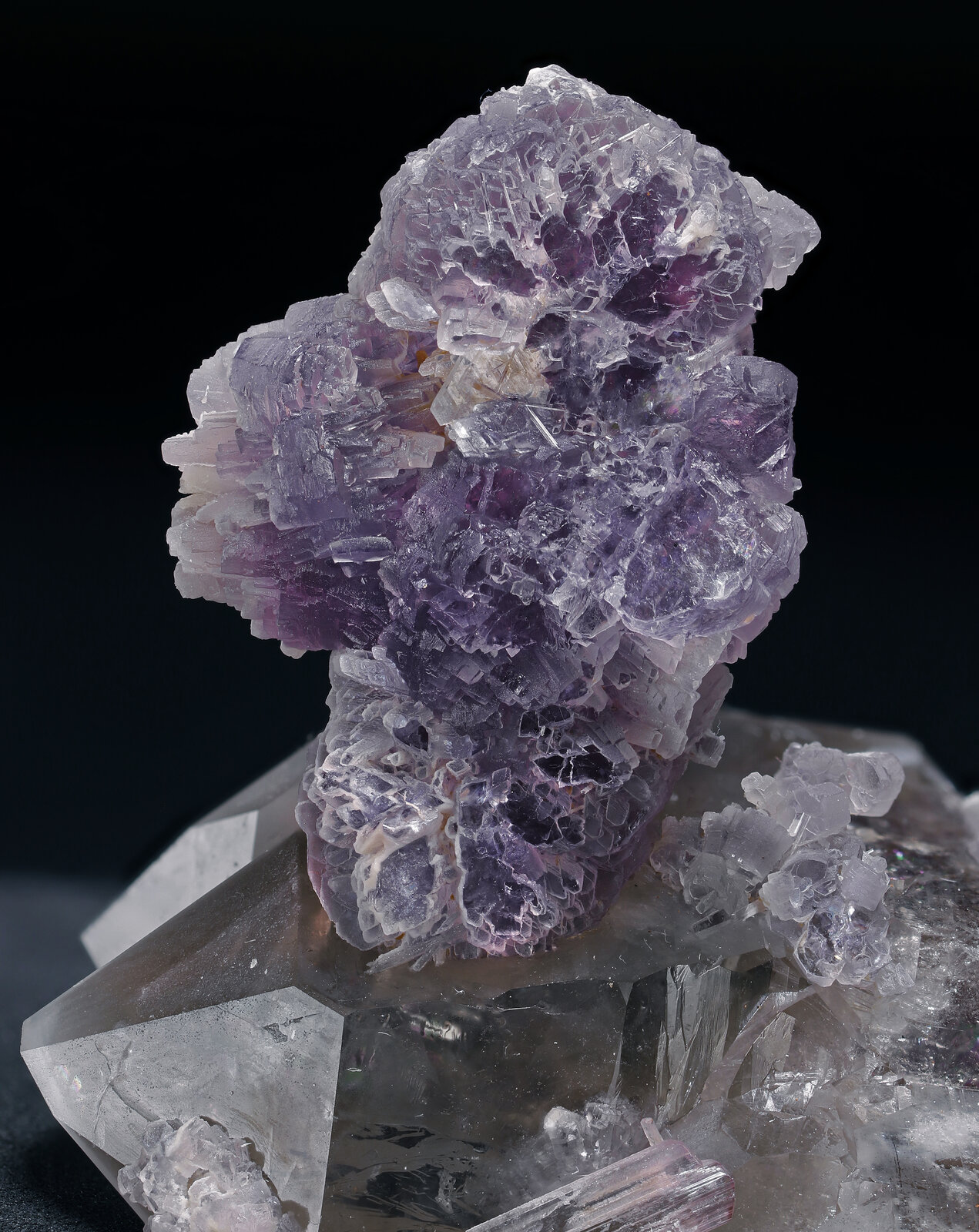 specimens/s_imagesAP6/Lepidolite-MXF27AP6_079_d.jpg