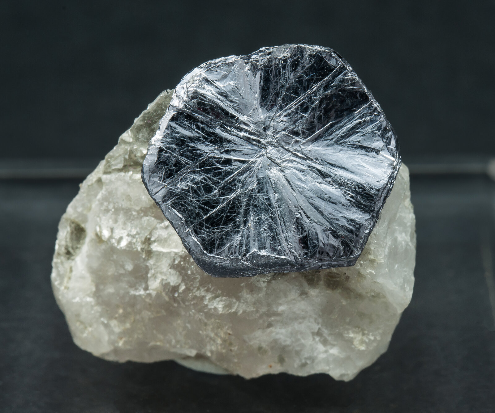 specimens/s_imagesAP6/Molybdenite-CVA13AP6f.jpg