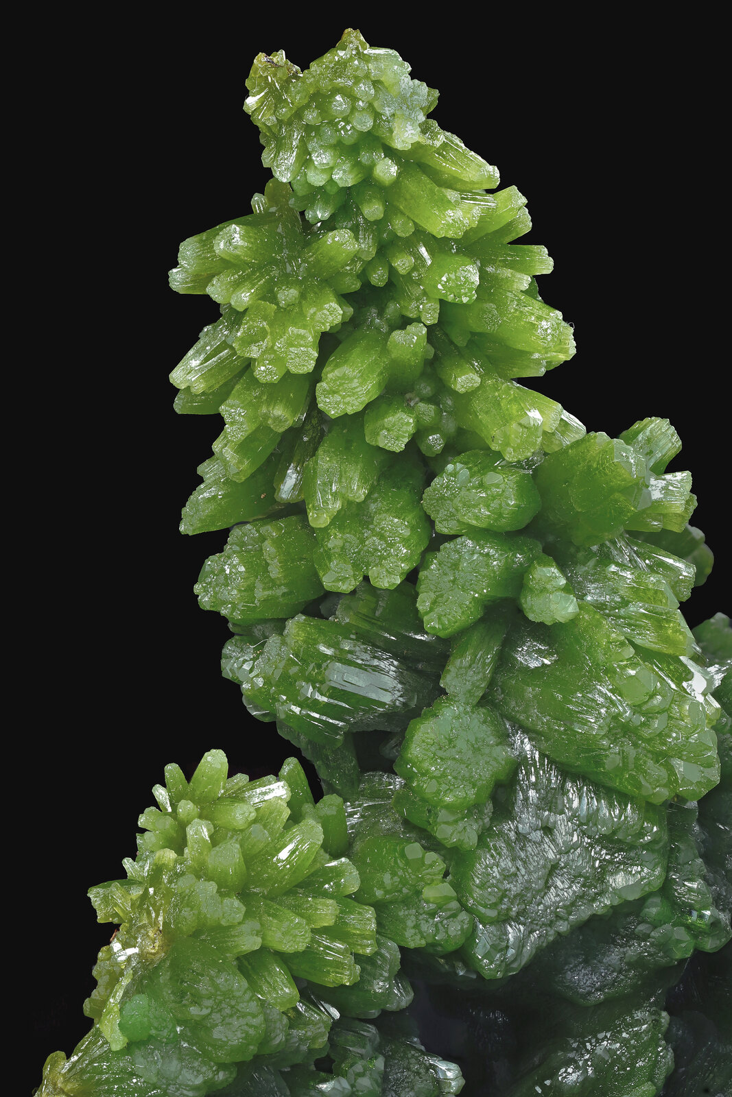 specimens/s_imagesAP6/Pyromorphite-MXF92AP6_016_d.jpg