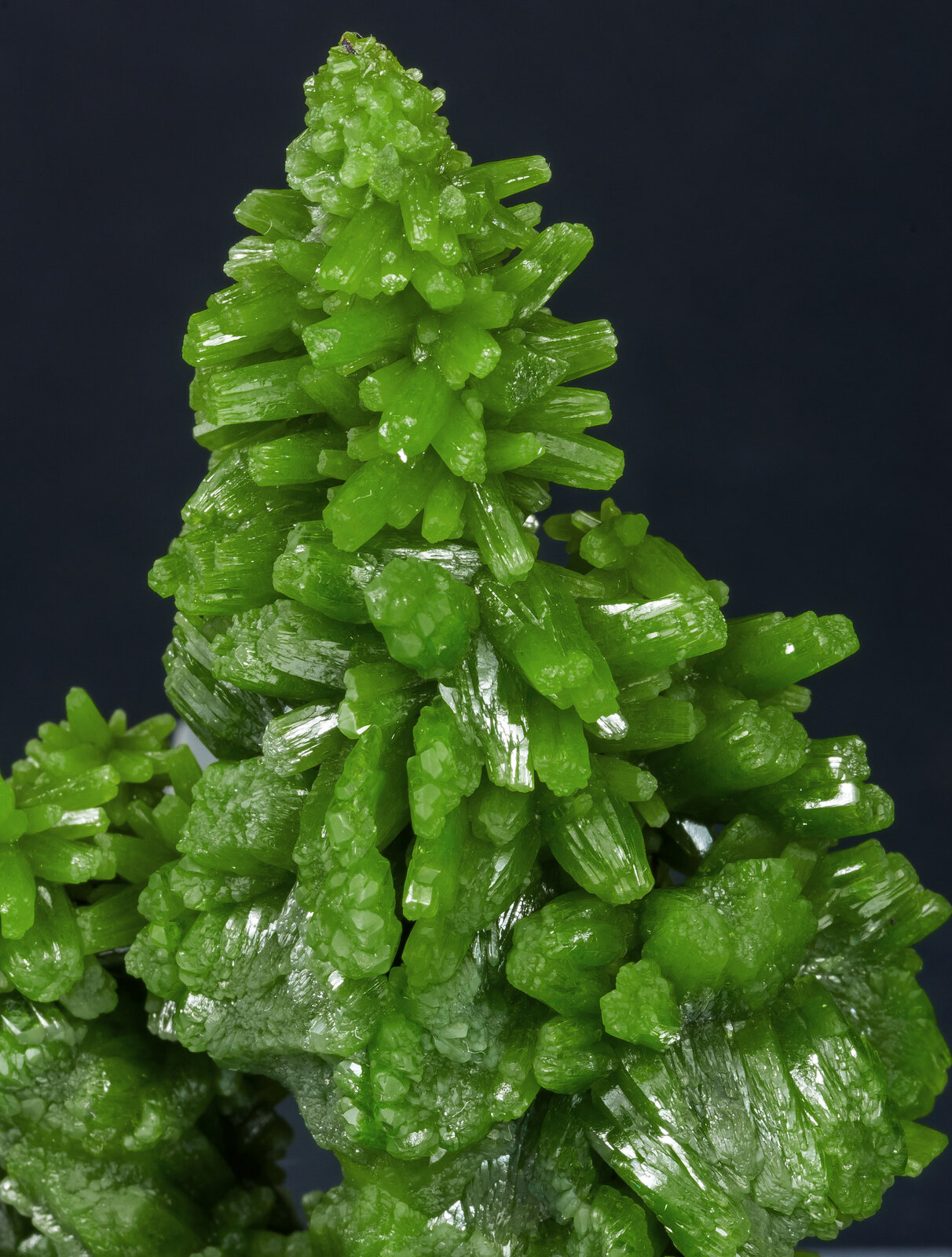 specimens/s_imagesAP6/Pyromorphite-MXF92AP6d.jpg