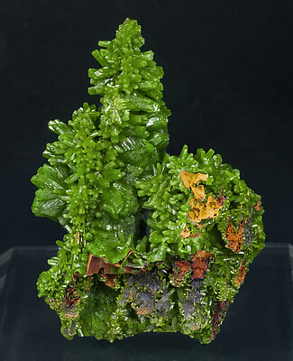 Pyromorphite with Fluorite cast. Rear