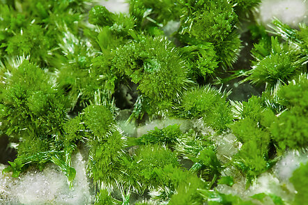 Pyromorphite with Quartz. 