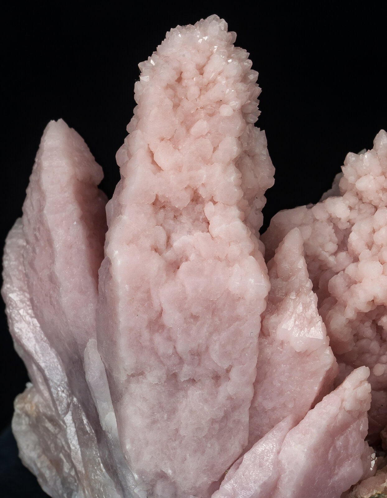 specimens/s_imagesAP6/Quartz_rose-TBX27AP6d.jpg