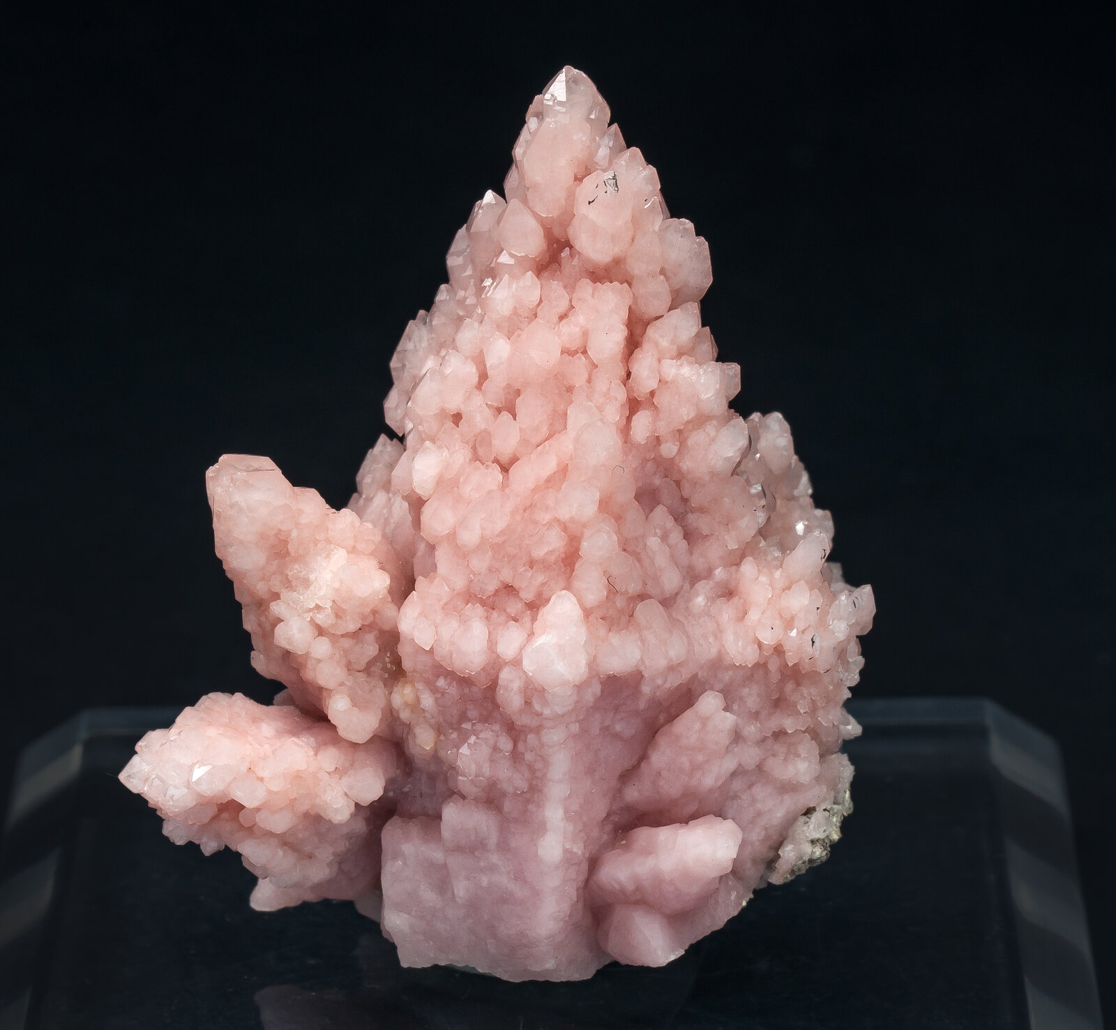 specimens/s_imagesAP6/Quartz_rose-TMB46AP6f.jpg