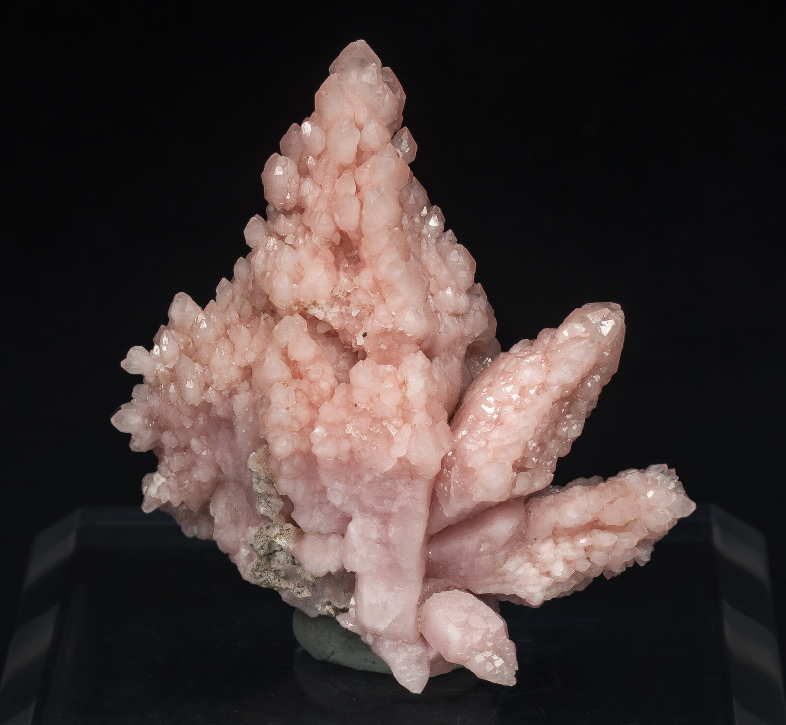 specimens/s_imagesAP6/Quartz_rose-TMB46AP6r.jpg