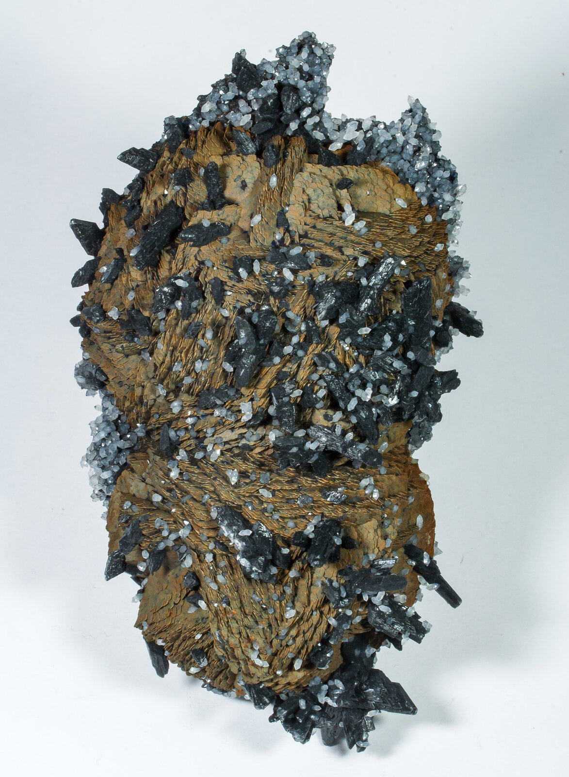 specimens/s_imagesAP6/Siderite-BRX89AP6f.jpg