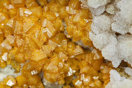 Wulfenite with Calcite. 