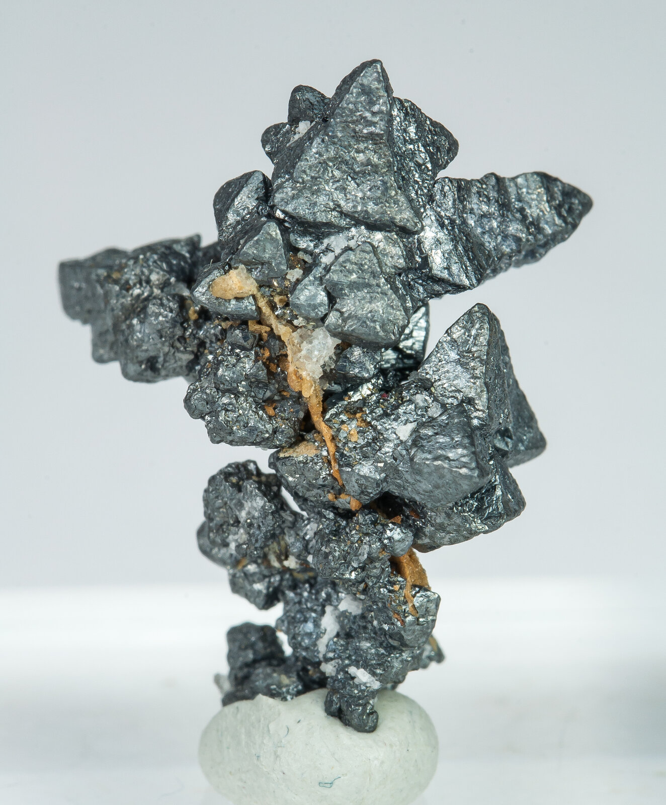 specimens/s_imagesAP7/Acanthite-JFD218AP7r.jpg