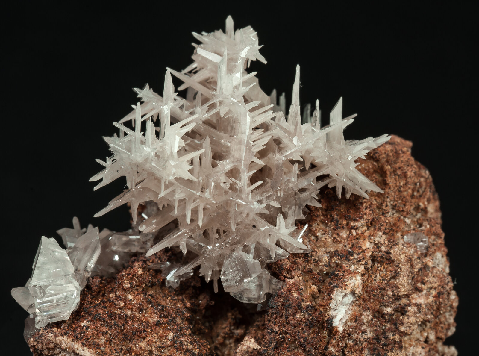 specimens/s_imagesAP7/Cerussite-EMX89AP7d.jpg