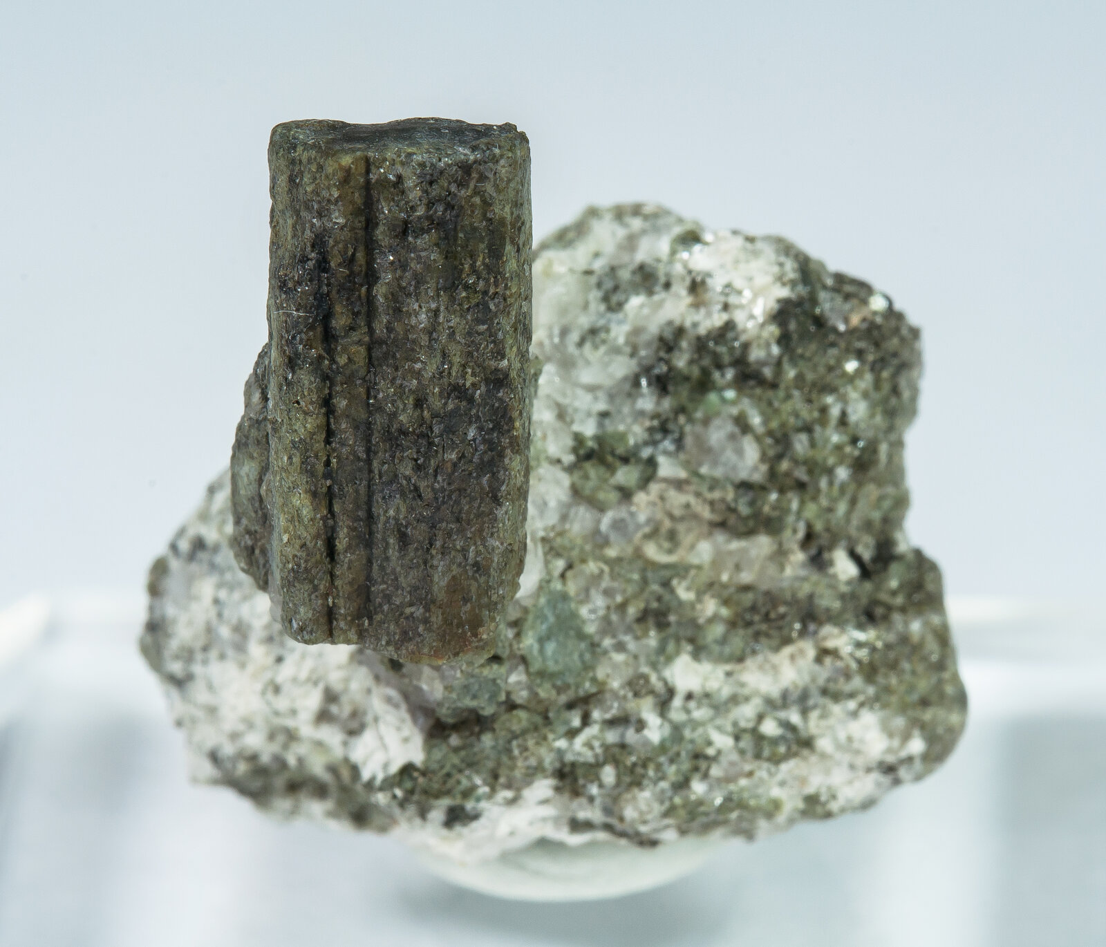 specimens/s_imagesAP7/Cordierite-CBX11AP7.jpg