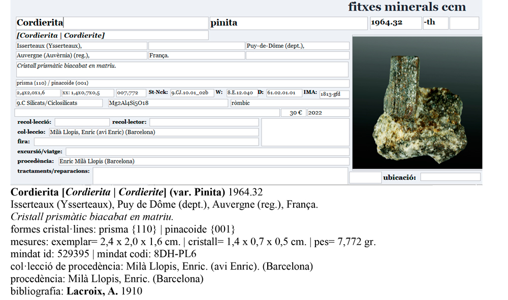 specimens/s_imagesAP7/Cordierite-CBX11AP7e.jpg