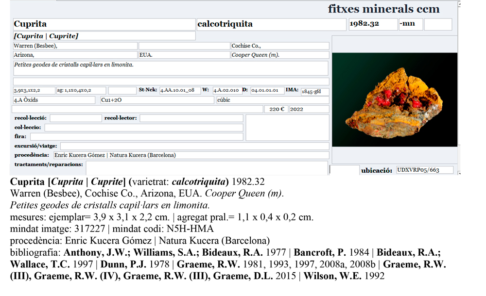 specimens/s_imagesAP7/Cuprite_chalcotrichite-CRB16AP7e.jpg