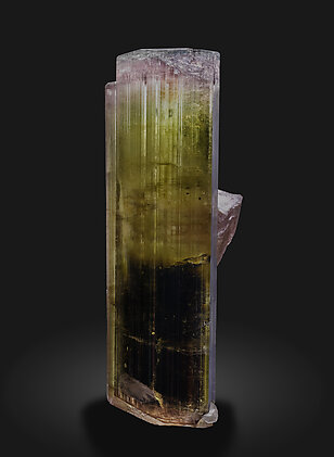 Elbaite. Light behind / Photo: Joaquim Calln